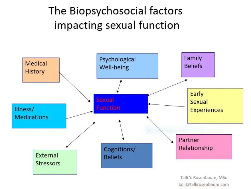 biopsycholsocial-factors-impacting-sexual-function.webp