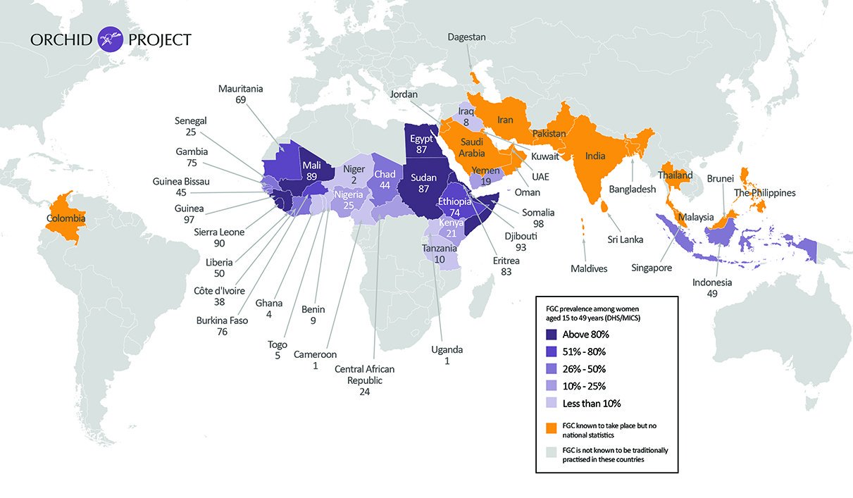 Female Genital Cutting is an International Issue